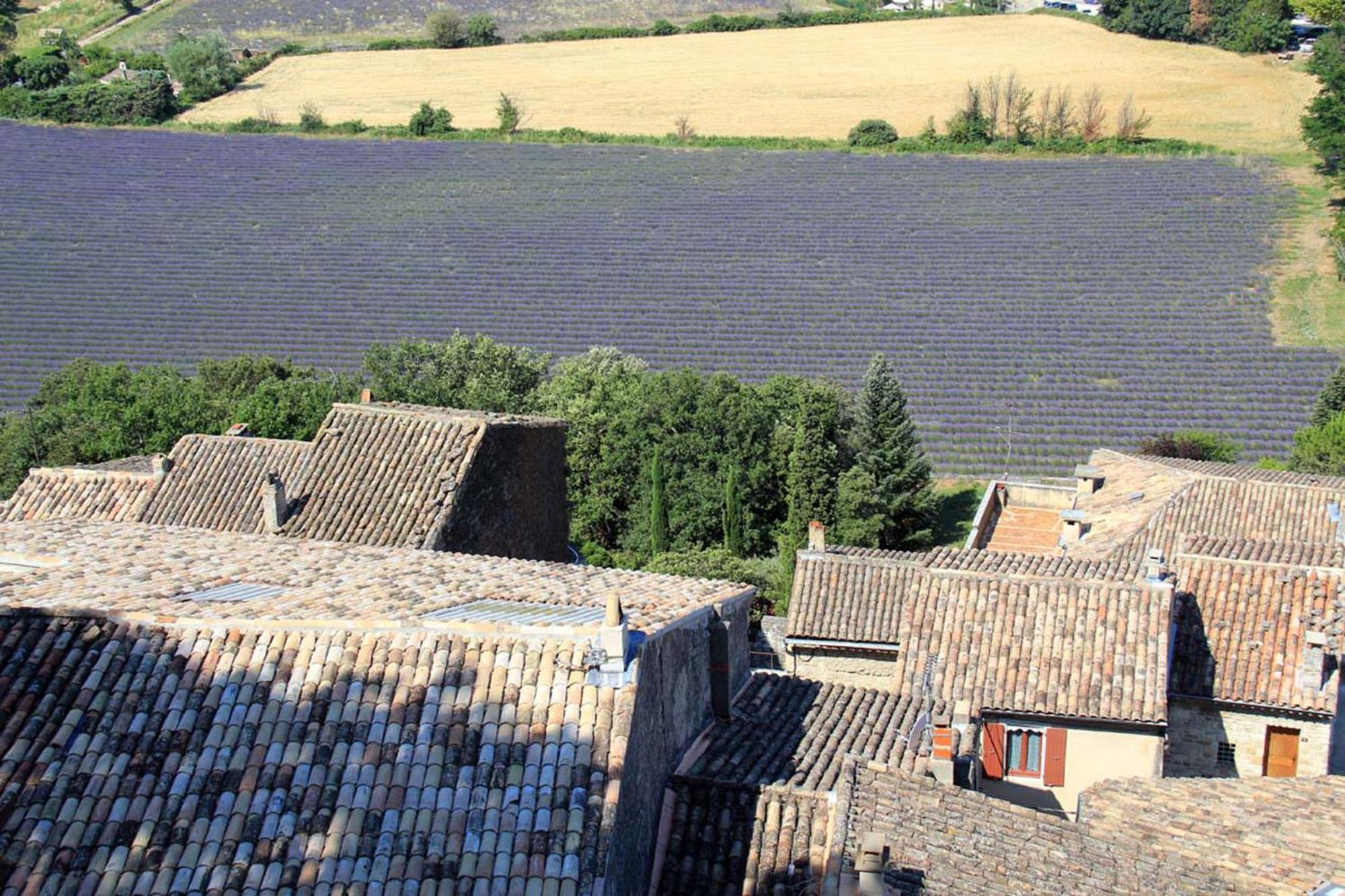 La Colombiere - Vue Imprenable Sur L'Ardeche - Tres Calme - Tres Bien Situe - Residence Privee 몽뗄리마 외부 사진